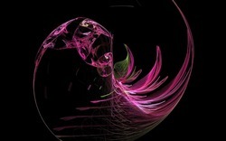 Apo7x-140322-5 u-black.jpg